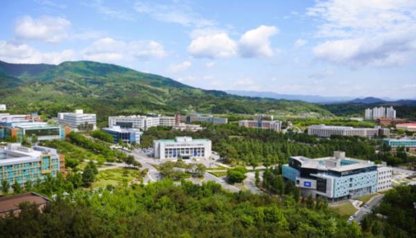 [���ϽŹ�] �κ���� �����η� Ű���.. �뱸���縯�� '�������� �κ�ķ�۽�' ���� �����